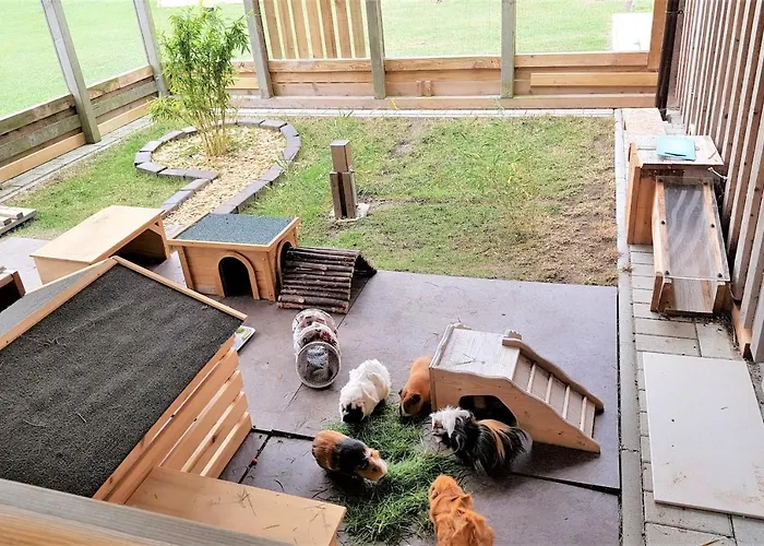 Apartamento Untere Teichwohnung